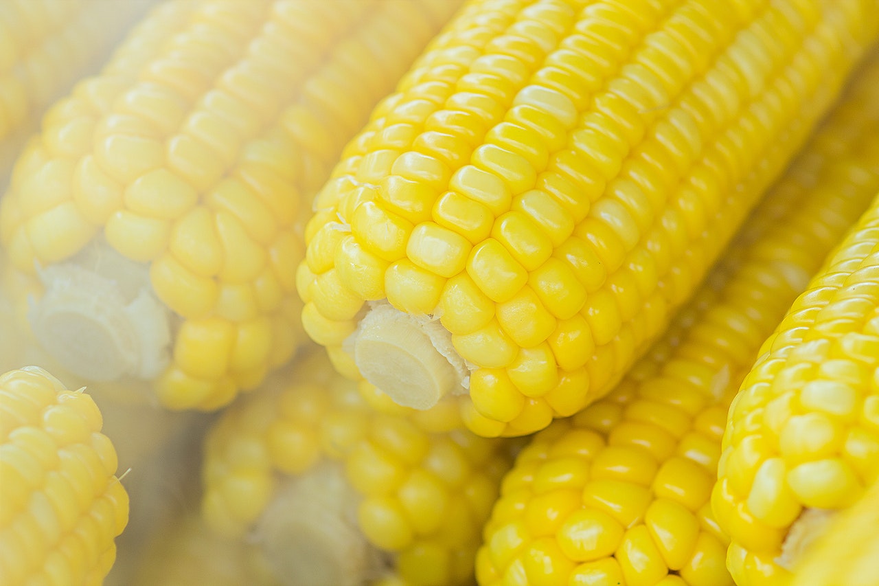Vegetable?